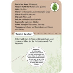 Moses Verlag EXPEDITION NATUR 50 HEIMISCHE BÄUME Reisespiel NOPUBLISHER -Outdoor Ausrüstung Geschäft 258786 c 50 heimische baeume