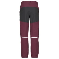Jack Wolfskin RASCAL WINTER PANTS K Kinder Softshellhose BOYSENBERRY -Outdoor Ausrüstung Geschäft 5638053594 c rascal winter pants k jack wolfskin 24